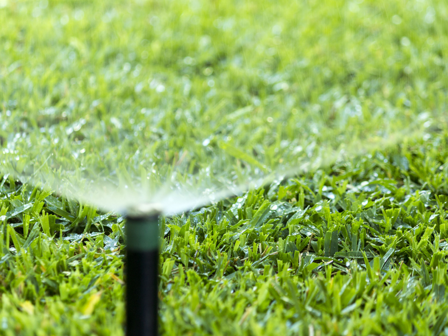 Irrigation System Installation & Maintenance Mount Holly, Gastonia